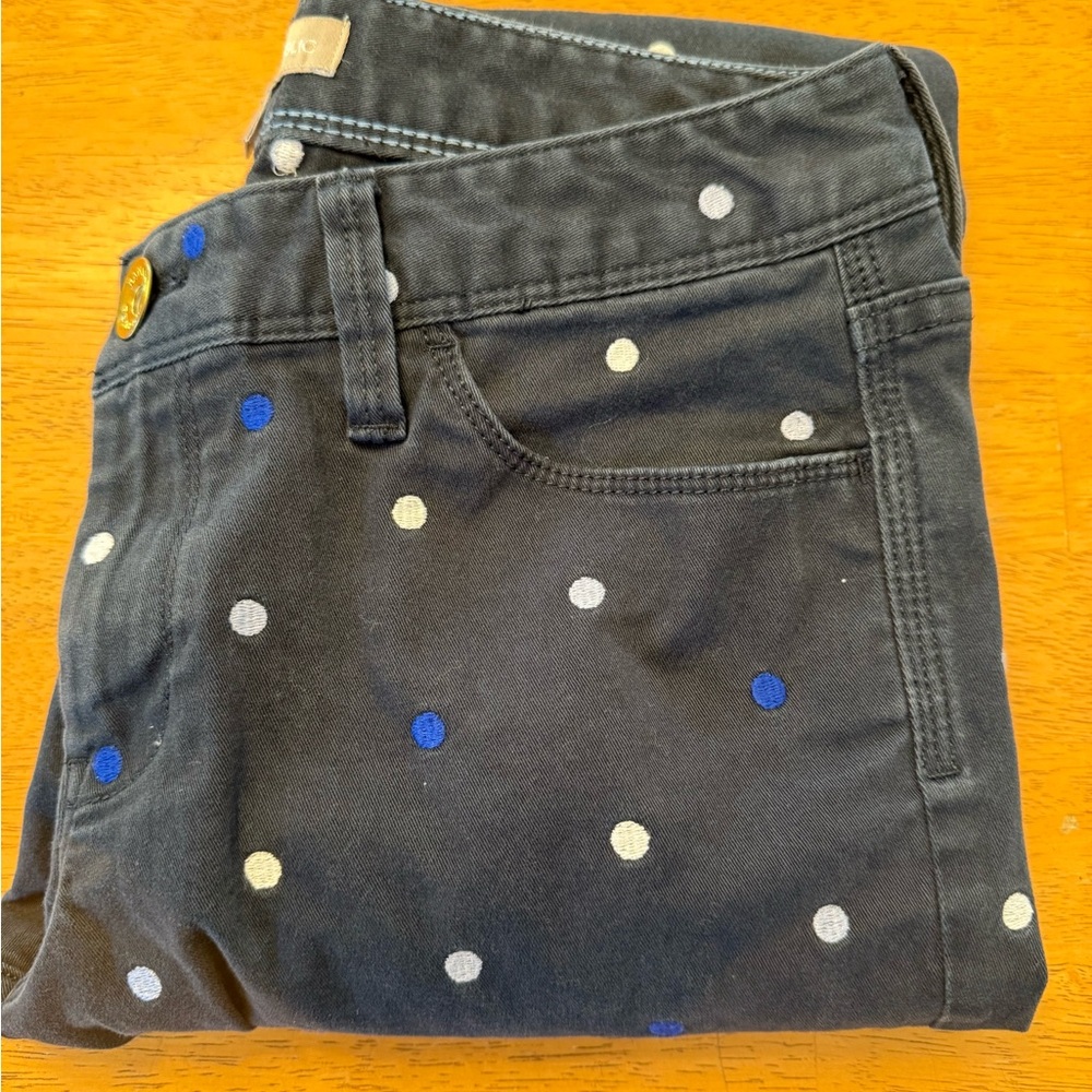 ✅ Banana Republic 26 waist Cropped Pants blue embroidered polka Dots chino khaki